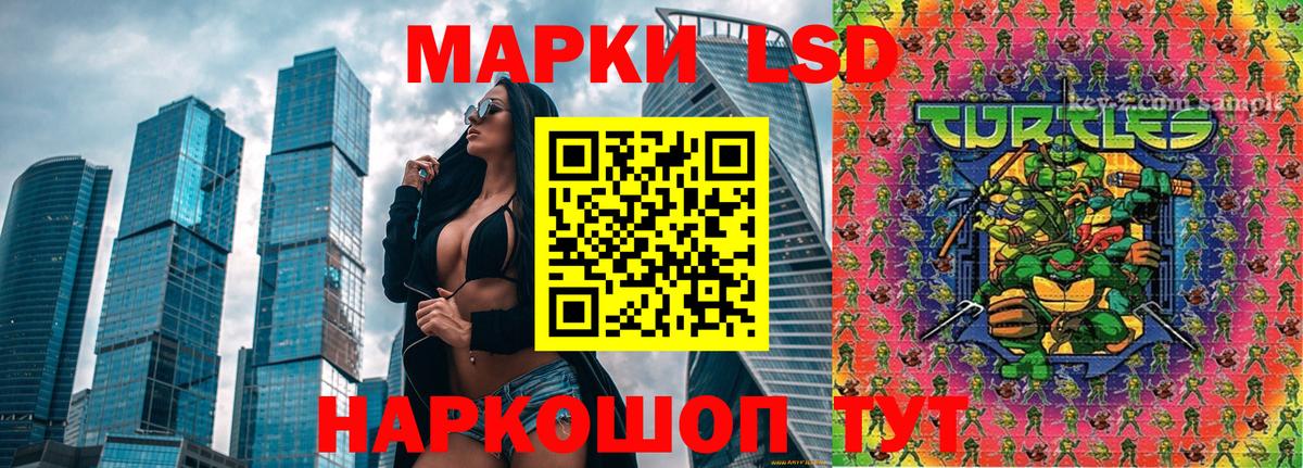 Качканар  купить наркоту  Марки NBOMe  Марки NBOMe 1,8мг  Вход с VPN  Марки NBOMe 1,8мг 